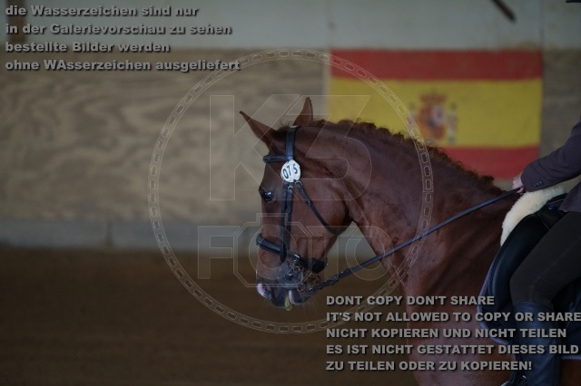 s_K3F03797.JPG